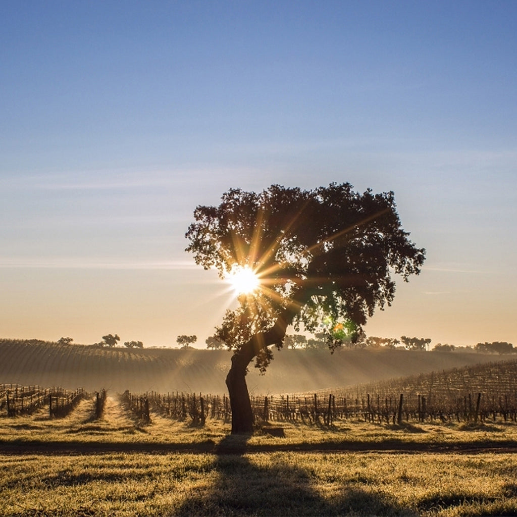 ALENTEJO