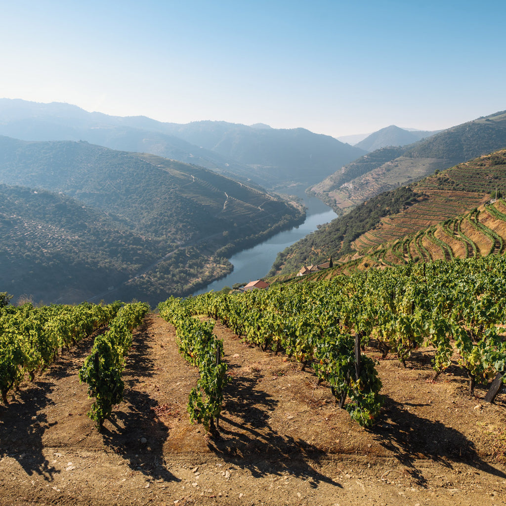 DOURO